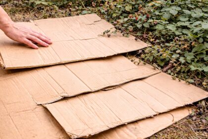 Αντίο στα βάτα: Η μέθοδος με το χαρτόνι που προτείνουν οι κηπουροί