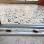 Το απλό κόλπο με την ταινία διπλής όψης στις μπαλκονόπορτες που δοκιμάζουν πολλοί το καλοκαίρι